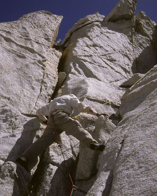 Maria-Louisa perches comfortably  with Starlight and Thunderbolt in the background