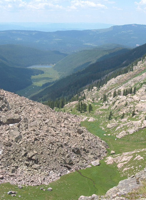 Verdant treeline meadow below Mt. Powell