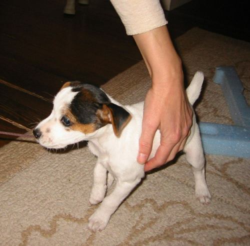Tug of war